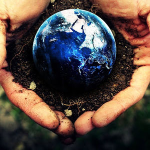 Meet your Posher, Quinn